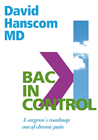 bic-front-cover